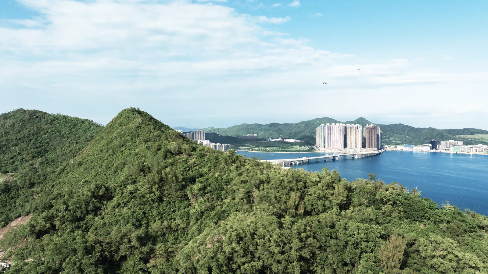 油塘海岸線航拍照片